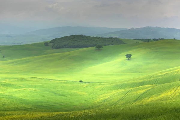 Beautiful Landscape Tuscany — Stock Photo, Image