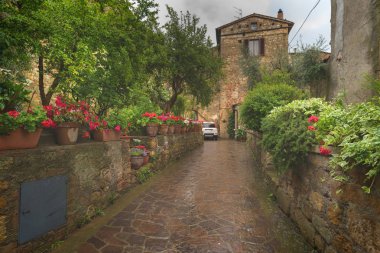 Küçük bir köyde büyülü Pienza, Toskana bir yağmurlu bahar gününde çiçekli sokak.