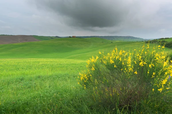 Krajobraz Pochmurno Tuscany Typowe Dla Regionu Toskanii Farm House Wzgórza — Zdjęcie stockowe