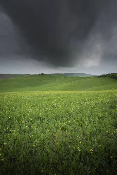 Toskana Crete Senesi Ländliche Sonnenuntergangslandschaft Bauernhof Zypressen Grüne Wiese Sonnenlicht — Stockfoto