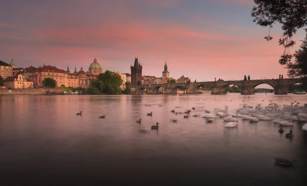 Karlsbrücke Der Prager Altstadt Tschechische Republik — Stockfoto