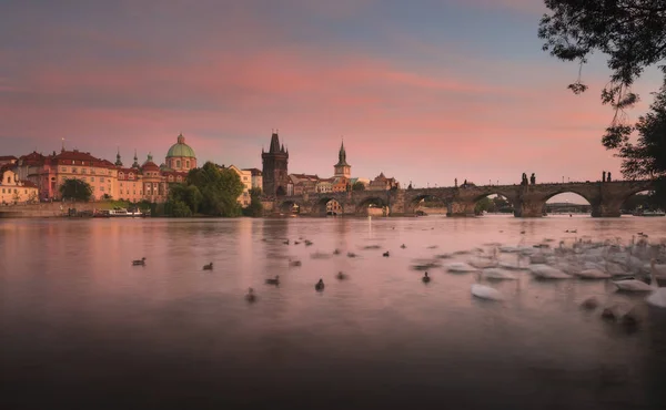 Karlsbrücke Der Prager Altstadt Tschechische Republik — Stockfoto