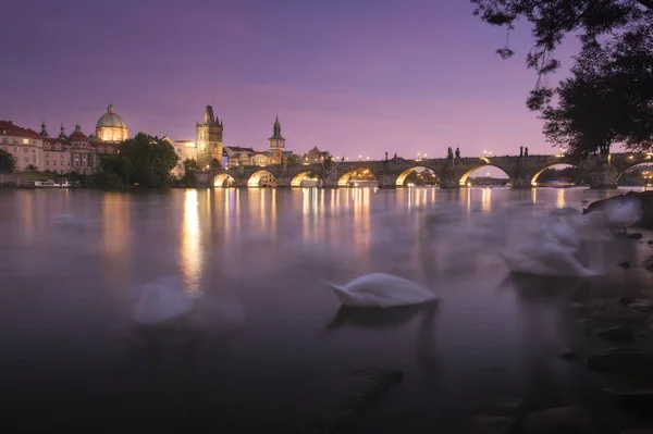 Prag Karlsbrücke Tschechische Republik — Stockfoto