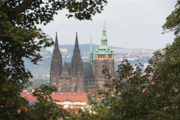 Prague Castle Saint Vitus Cathedral Czech Republic Panoramic View — Stock Photo, Image