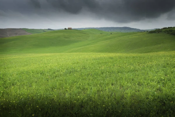 Toskania Wiejski Zachód Krajobrazu Crete Senesi Zagroda Cyprysów Drzewa Zielone — Zdjęcie stockowe