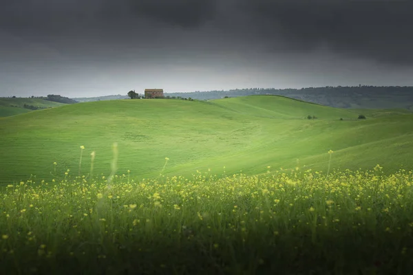 Toskania Wiejski Zachód Krajobrazu Crete Senesi Zagroda Cyprysów Drzewa Zielone — Zdjęcie stockowe