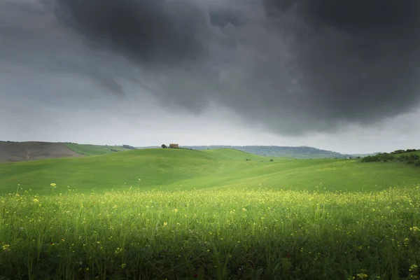 Toskania Wiejski Zachód Krajobrazu Crete Senesi Zagroda Cyprysów Drzewa Zielone — Zdjęcie stockowe