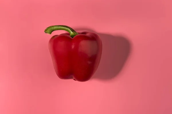 Rote Paprika Isoliert Auf Rosa Hintergrund Minimales Gesundes Ernährungskonzept Flache — Stockfoto