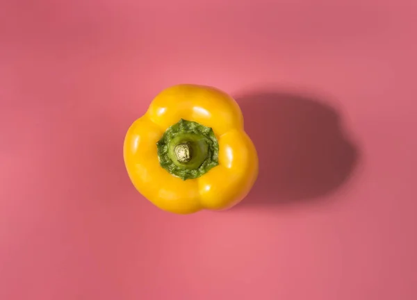 Natürliche Organische Gelbe Bulgarische Paprika Auf Trend Rosa Background Top — Stockfoto