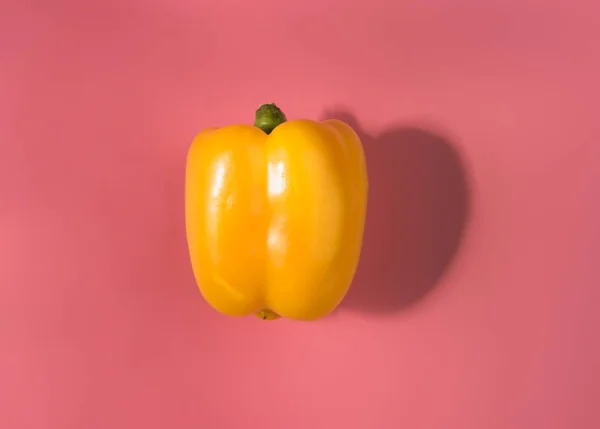 Natürliche Organische Gelbe Bulgarische Paprika Auf Trend Rosa Background Top — Stockfoto