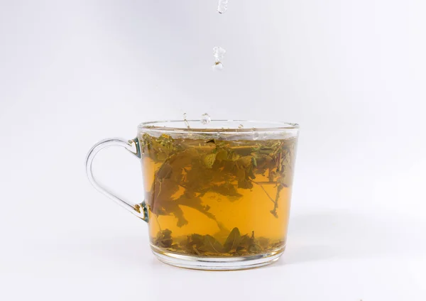 お茶は 白い背景で隔離のガラスのコップに熱湯を注ぐ — ストック写真