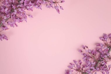 Çiçek kompozisyon. Mor çiçekler ve pastel pembe arka plan üzerinde bırakır. Düz yatıyordu, en iyi görünüm, kopya alanı