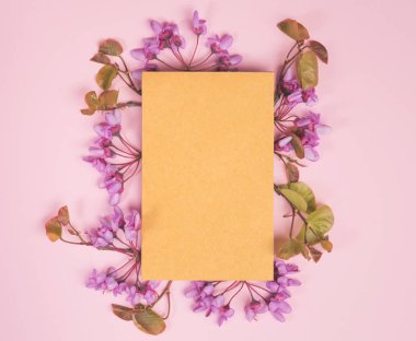 Çiçek kompozisyonu. Kağıt boş, pastel mavi arka planda pembe çiçekler. Düz konum, üst görünüm, kopyalama alanı, kare