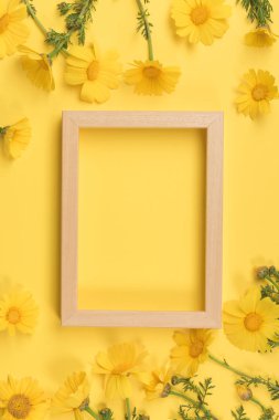 Çiçek kompozisyon. Papatya çiçeği ile sarı zemin üzerine fotoğraf çerçevelemek. Bahar, yaz konsepti. Düz yatıyordu, en iyi görünüm, kopya alanı
