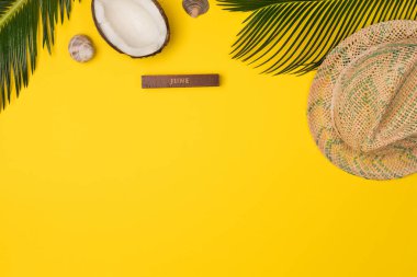 Yaratıcı Düz palmiye yaprakları, hindistan cevizi ve sarı renk arka plan üzerinde panama şapka ile moda tarzı yatıyordu