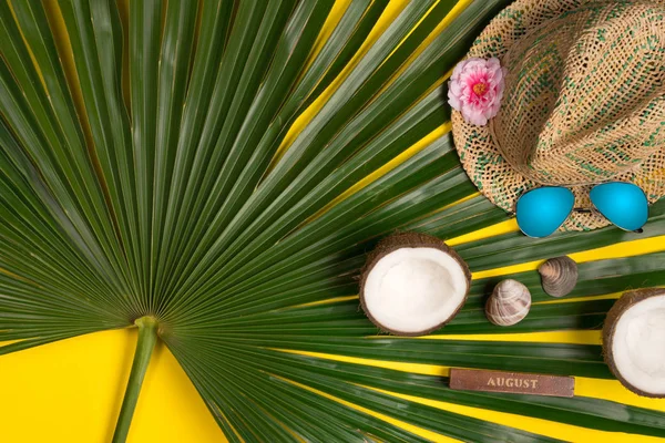 Composición Verano Con Marco Fotos Hojas Palma Verde Sombrero Gafas — Foto de Stock