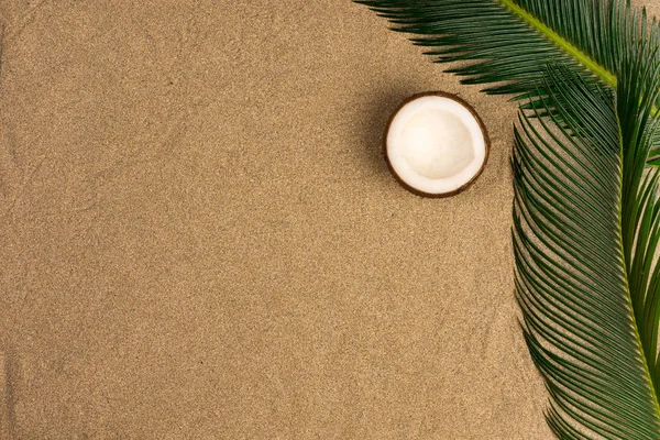 砂の背景にビーチのテーマ ヤシの葉 砂の上にココナッツ トップビュー — ストック写真