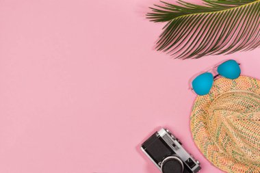Yaz tatili konsepti. şık güneş gözlüğü, retro fotoğraf makinesi ve mavi arka plan üzerinde yeşil palmiye yaprakları, düz yatıyordu. metin için alan.