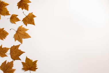 Renkli sonbahar yaprakları ve metin için yer ile Arka plan