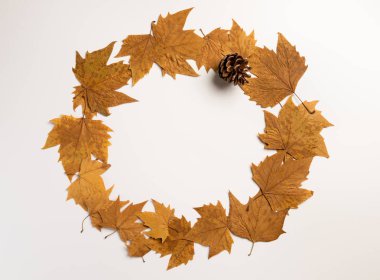 Sonbahar kompozisyonu. Çelenk gri arka plan üzerinde akçaağaç yapraklarından yapılmış. Sonbahar, sonbahar, şükran günü konsepti. Düz döşeme, üst görünüm, kopyalama alanı