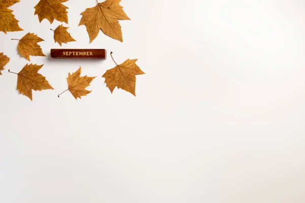 Sjabloon Voor Herfst Festival Poster Web Uitnodiging Flyer Happy Thanksgiving — Stockfoto