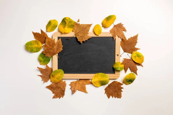 Herfst Compositie Met Droge Gele Grijze Maple Leafs Lege Blackboard — Stockfoto