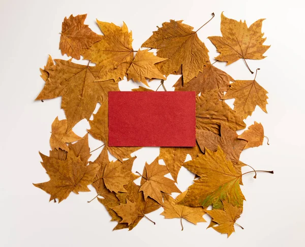 Leeg Papier Kladblok Met Herfst Rood Geel Blad Witte Achtergrond — Stockfoto