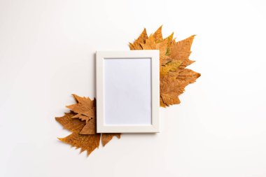 Sonbahar kompozisyonu. Fotoğraf çerçevesi, akçaağaç yaprakları, beyaz arka plan üzerinde. Düz döşeme, üst görünüm, kopyalama alanı.