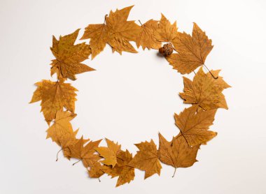 Sonbahar kompozisyonu. Gri arka plan üzerinde yapraklardan yapılmış çelenk. Sonbahar, sonbahar, şükran günü konsepti. Düz döşeme, üst görünüm, kopyalama alanı