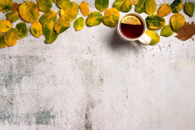 Sarı sonbahar yaprakları ile süslenmiş sıcak çay Fincan gri doku arka plan üzerinde bırakır. Düz yatıyordu