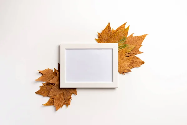 Herfst Samenstelling Fotolijstjes Esdoorn Bladeren Witte Achtergrond Platte Lay Bovenaanzicht — Stockfoto