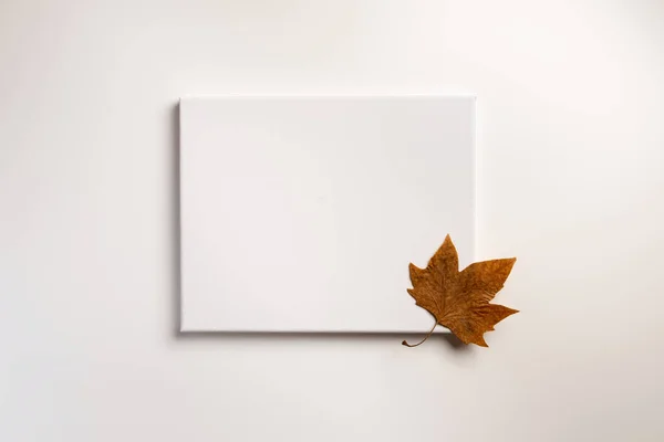 Lege Poster Gedroogde Bladeren Witte Achtergrond Herfst Herfst Concept Gouden — Stockfoto