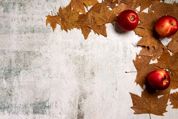 Herfst Samenstelling Rode Appels Herfst Bladeren Grijze Betonnen Achtergrond Platte — Stockfoto