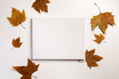 Boş poster, beyaz arka planda kurutulmuş yapraklar. Sonbahar, sonbahar, konsept. Altın sonbahar. Düz yatıyordu.