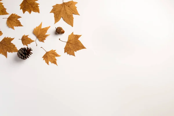 Achtergrond Met Kleurrijke Herfst Bladeren Plaats Voor Tekst — Stockfoto
