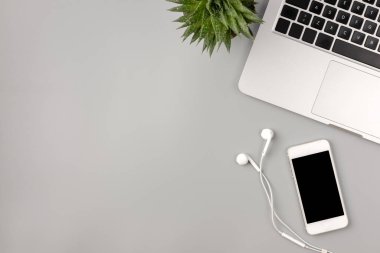Düz yatış, çalışma alanının üst görüntüsü, ofis masası. Bilgisayarlı çalışma alanı, akıllı telefon ve gri arka planda ev bitkisi