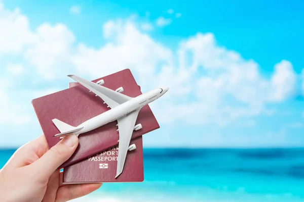 Aereo Passaporto Volo Viaggio Viaggiatore Volare Viaggio Cittadinanza Aereo Concetto — Foto Stock