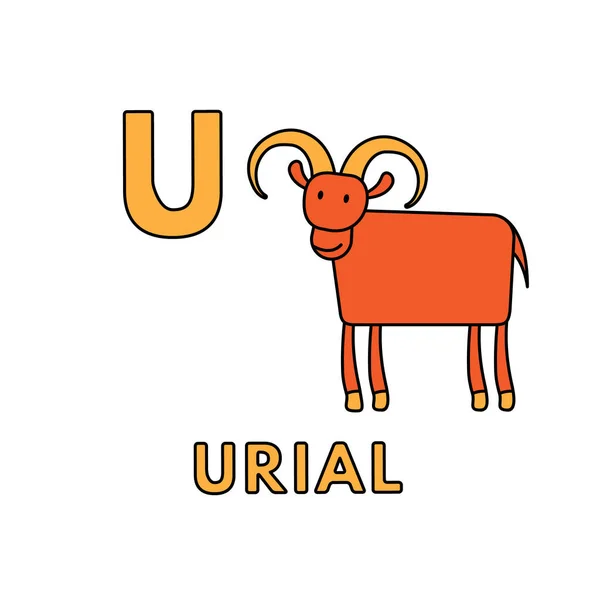 Alfabeto bonito dos animais dos desenhos animados do vetor. Ilustração do Urial — Vetor de Stock
