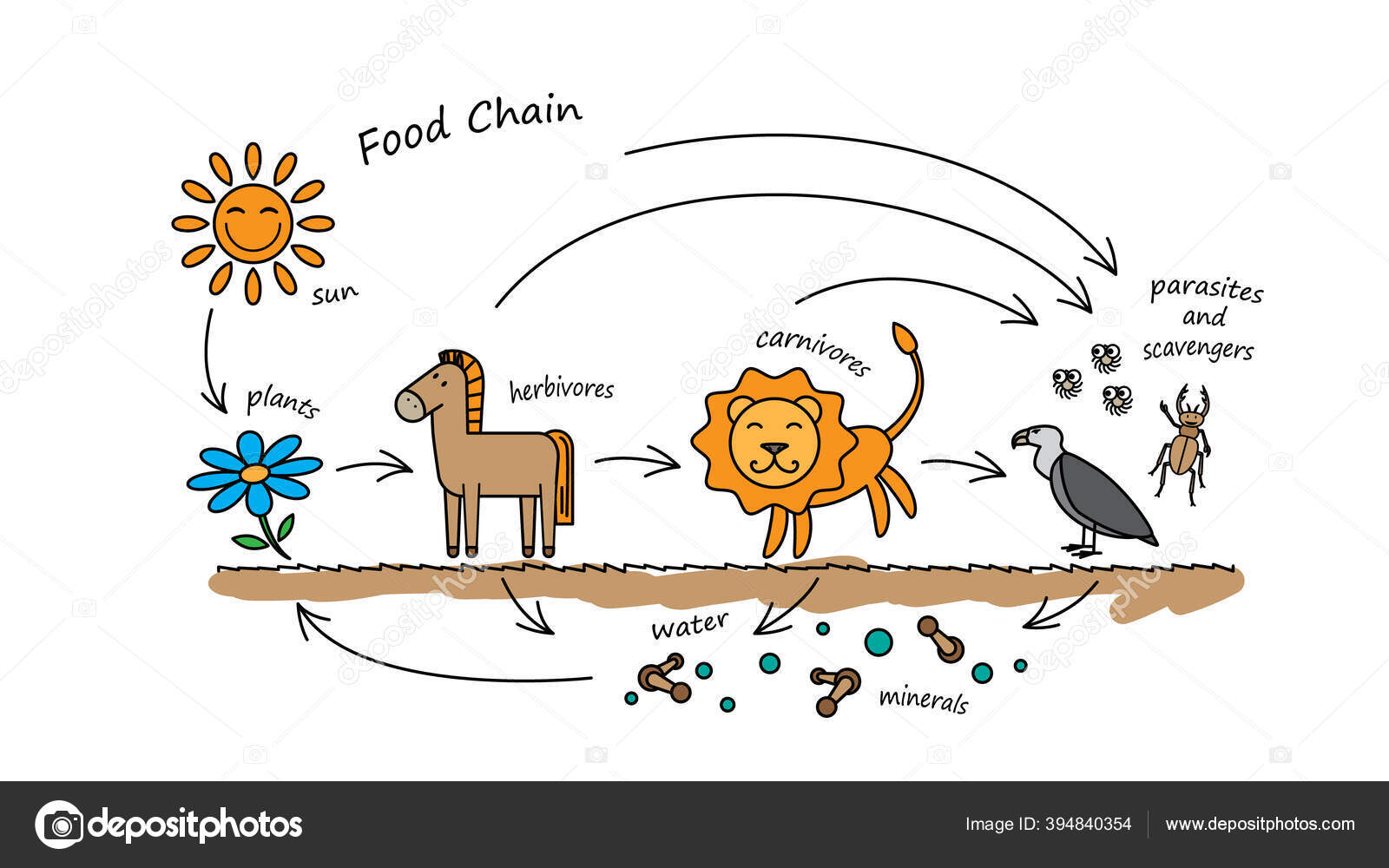Funny Animals Food Chain Illustration Stock Illustration by ©Roman