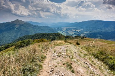 polonina Wetlinska zirvesine bir manzara. Bieszczady dağ