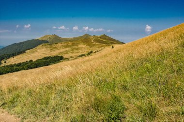 polonina Wetlinska zirvesine bir manzara. Bieszczady dağ