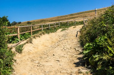 polonina Wetlinska zirvesine bir manzara. Bieszczady dağ