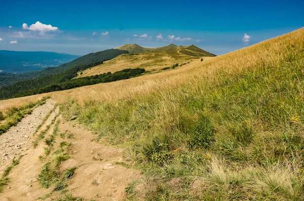 View Peak Polonina Wetlinska Bieszczady Mountain — Stock Photo, Image