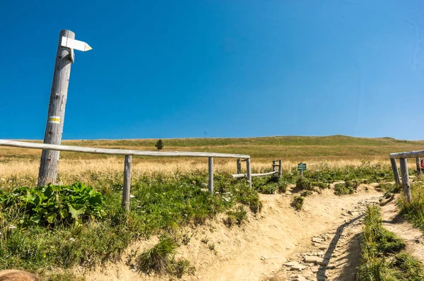 Polonina Wetlinska Zirvesine Bir Manzara Bieszczady Dağ — Stok fotoğraf