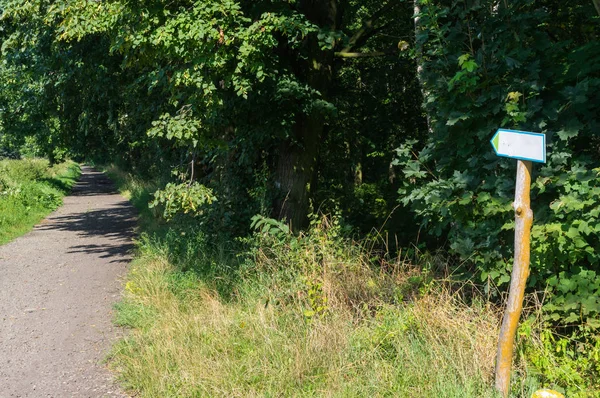 Chodnik Pobliżu Goczalkowice Zdroj Śląsk Polska — Zdjęcie stockowe