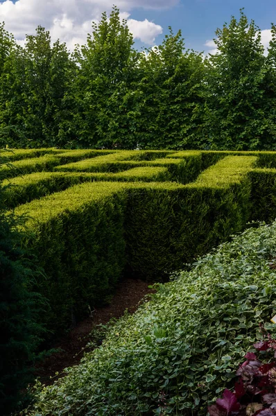 Labirinto Gênios Parte Enorme Jardim — Fotografia de Stock