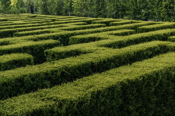 Labirinto Gênios Parte Enorme Jardim — Fotografia de Stock