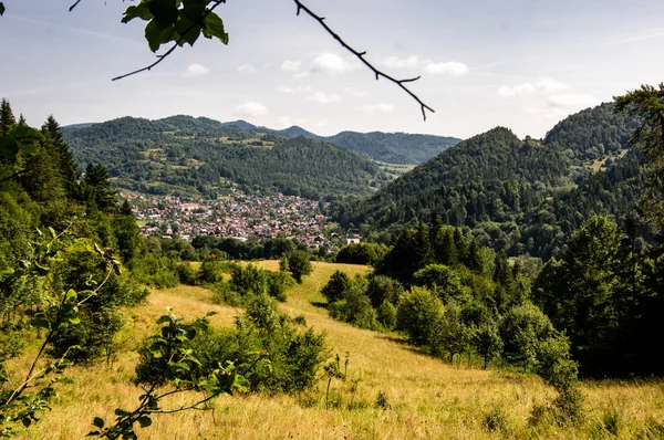 Kroscienko stad — Stockfoto