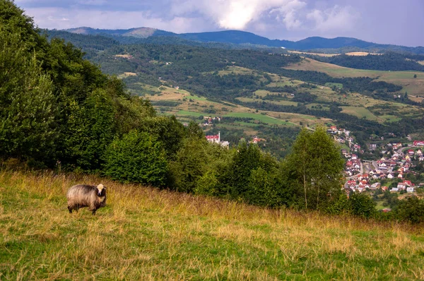 Szczawnica Marina — Stock fotografie