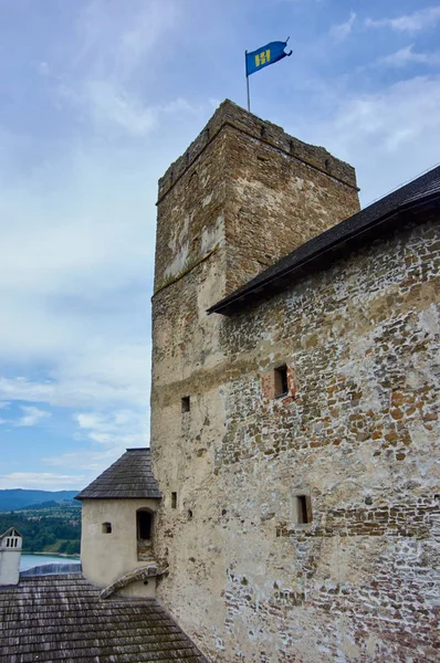 Castelo de Niedzia — Fotografia de Stock